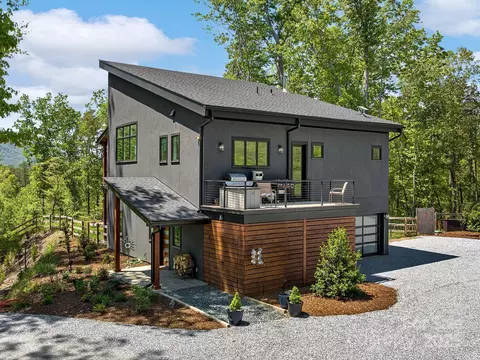 Exterior - 262 S Cove Rd, Mill Spring, NC 28756 photo 3 of 12