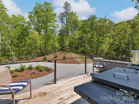 Exterior - 262 S Cove Rd, Mill Spring, NC 28756 photo 9 of 12