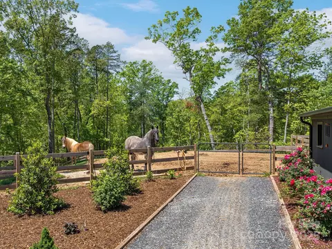 Exterior - 262 S Cove Rd, Mill Spring, NC 28756 photo 11 of 12