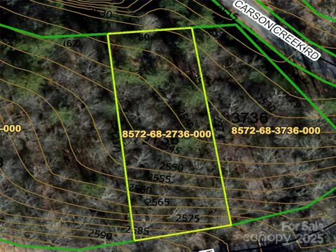 999 Dvdegi Ct, Brevard, NC 28712