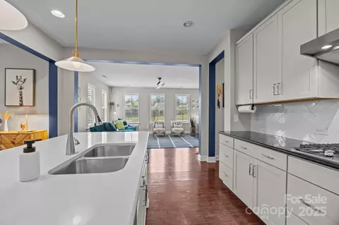 17513 Julees Walk Ln, Davidson, NC 28036 photo 4