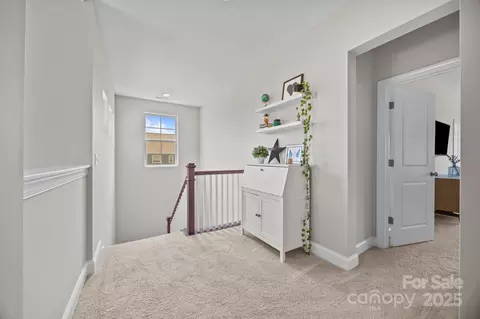 17513 Julees Walk Ln, Davidson, NC 28036 photo 17
