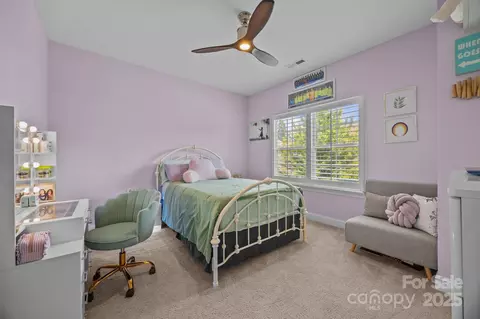 17513 Julees Walk Ln, Davidson, NC 28036 photo 19