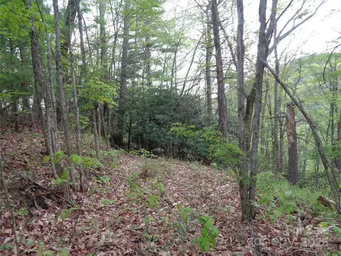 00 Promiseland Rd, Canton, NC 28716
