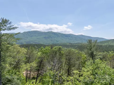 84 Bishop Ln, Mill Spring, NC 28756 photo 43