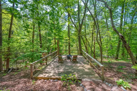 84 Bishop Ln, Mill Spring, NC 28756 photo 35