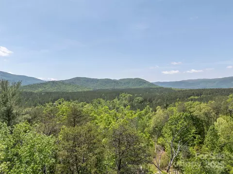 84 Bishop Ln, Mill Spring, NC 28756 photo 44