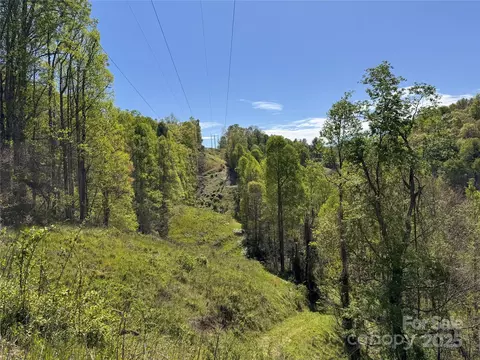 000 Relief Ext, Green Mountain, NC 28740