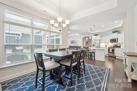 16112 Lakeside Loop Ln, Cornelius, NC 28031 photo 12