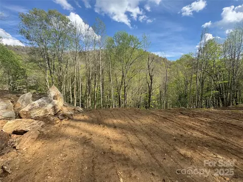 1011 Thrash Ln, Mars Hill, NC 28754