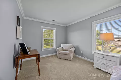 9871 Travertine Trl, Davidson, NC 28036 photo 23