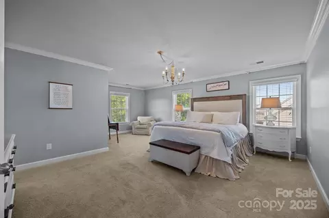 9871 Travertine Trl, Davidson, NC 28036 photo 22