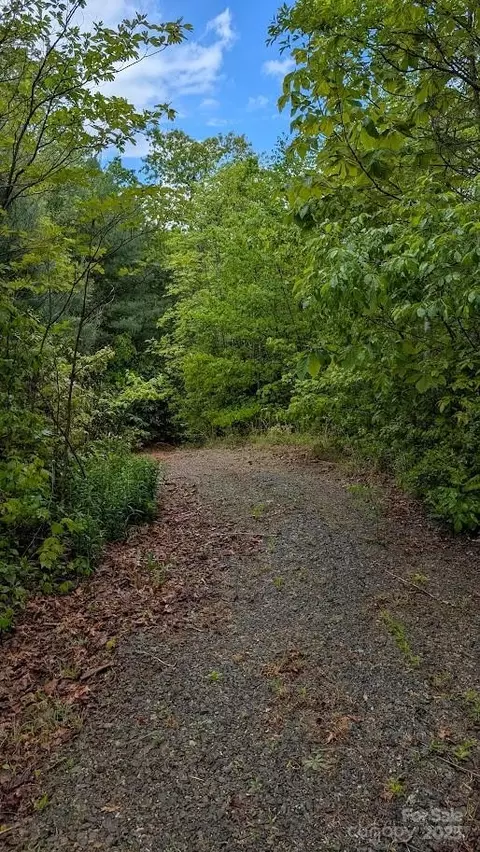 821 Turkey Pen Gap Rd, Horse Shoe, NC 28742