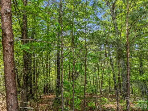 4 Woodward Dr, Mill Spring, NC 28756