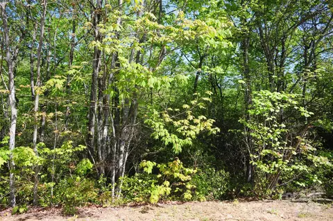 99999 Mountain Falls 71 Trl #71, Black Mountain, NC 28711