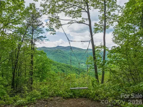 59 Pisgah Mountain Trl, Candler, NC 28715