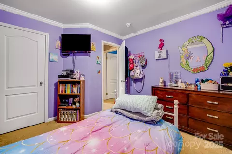 14 Phoenix Cir, Alexander, NC 28701 photo 23