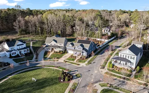 View/Area - 1502 Matthew Mcclure Cir, Davidson, NC 28036 photo 2 of 3