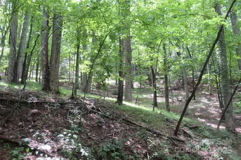 Poplar Lot 152 Drive LOT 152, Mills River, NC 28759