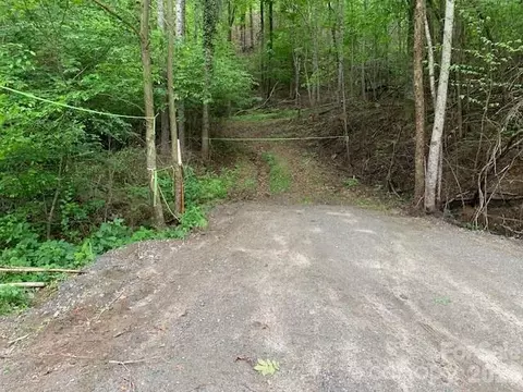 42 16 Acs Green River Cove 42162 Ac Rd #42.162 AC., Saluda, NC 28773