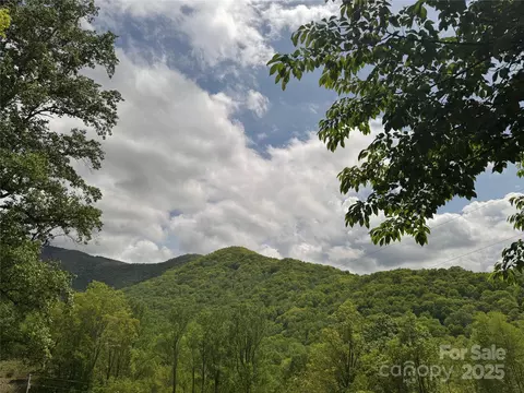 000 Rickman Rdg, Canton, NC 28716
