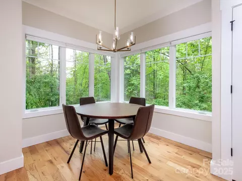 364 Camptown Rd, Brevard, NC 28712 photo 6