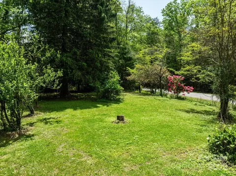 99999 Thumper Ln, Arden, NC 28704