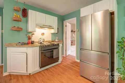 124 Beaverdam Loop Rd, Candler, NC 28715 photo 12