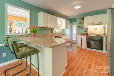 124 Beaverdam Loop Rd, Candler, NC 28715 photo 10