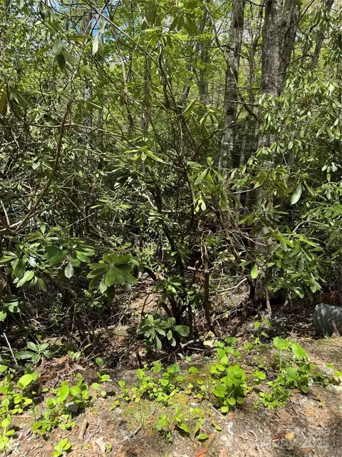 47 Hornbeam 234 Rd #234, Newland, NC 28657