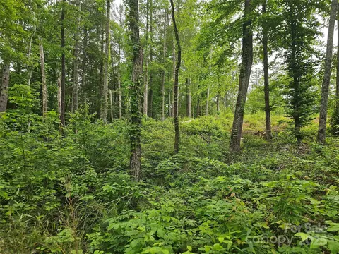 175 Edgewater Nw Pt NW, Valdese, NC 28655 photo 26