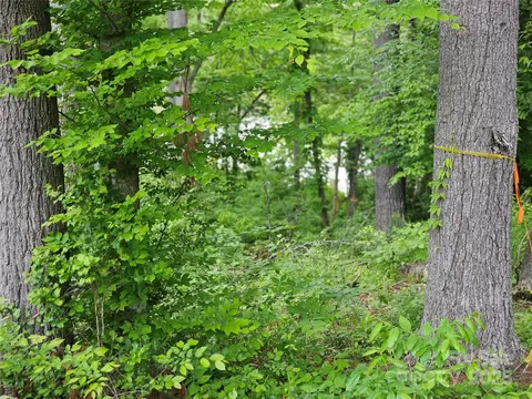 175 Edgewater Nw Pt NW, Valdese, NC 28655 photo 12