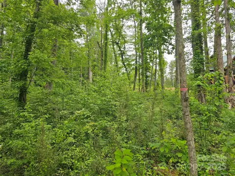 175 Edgewater Nw Pt NW, Valdese, NC 28655 photo 25