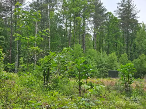 175 Edgewater Nw Pt NW, Valdese, NC 28655 photo 13