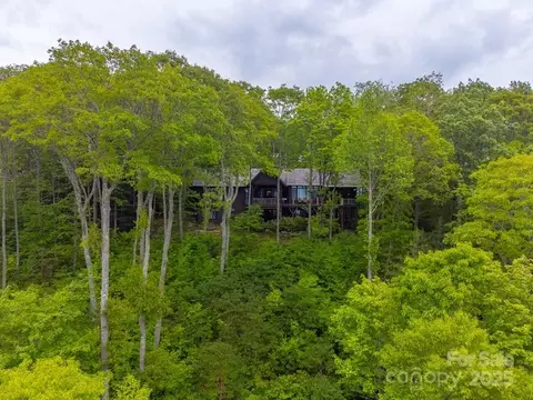 85 Back Bone Way, Sylva, NC 28779 photo 48