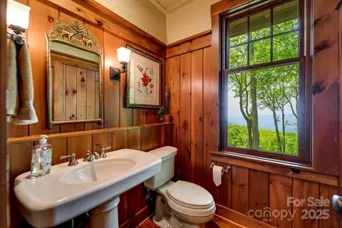 85 Back Bone Way, Sylva, NC 28779 photo 19