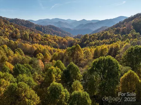 1397 Bee Branch Rd, Hot Springs, NC 28743