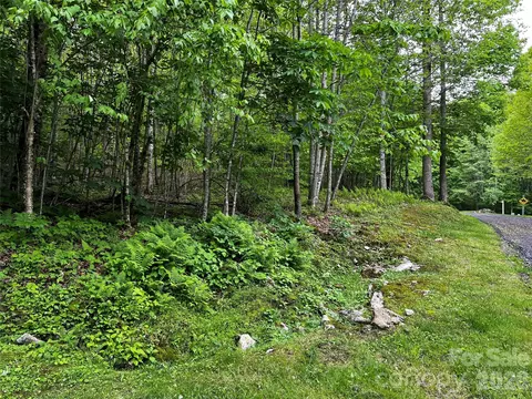 1 Pearl Way, Mars Hill, NC 28754 photo 3