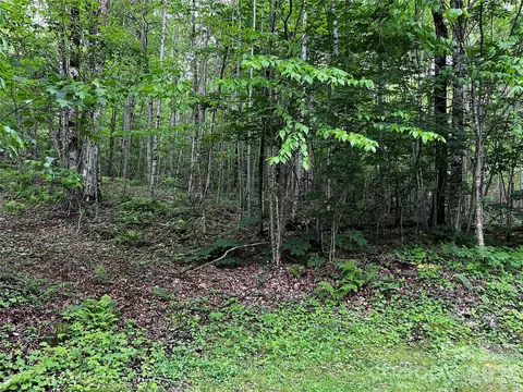 1 Pearl Way, Mars Hill, NC 28754 photo 4