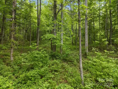 287 Red Fox Ln, Flat Rock, NC 28731 photo 16