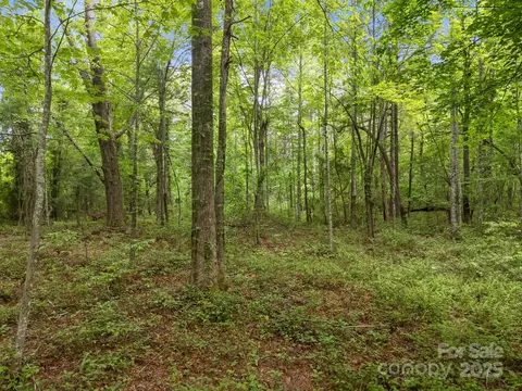287 Red Fox Ln, Flat Rock, NC 28731 photo 22