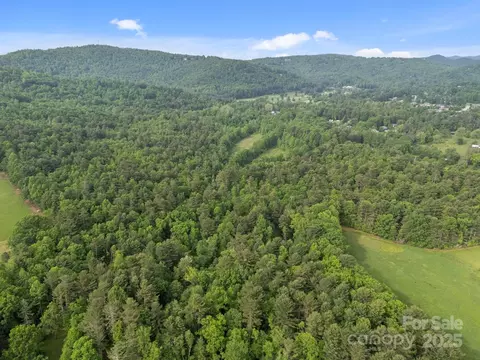 287 Red Fox Ln, Flat Rock, NC 28731 photo 6