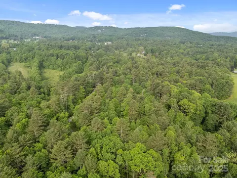 287 Red Fox Ln, Flat Rock, NC 28731 photo 7