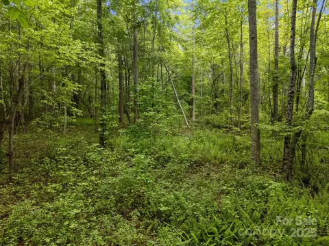 287 Red Fox Ln, Flat Rock, NC 28731 photo 17