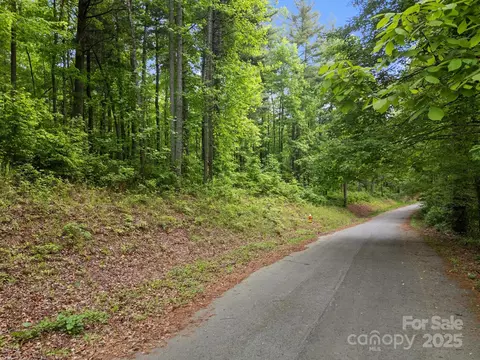 287 Red Fox Ln, Flat Rock, NC 28731 photo 23