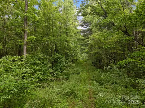 287 Red Fox Ln, Flat Rock, NC 28731 photo 12