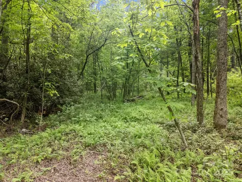 287 Red Fox Ln, Flat Rock, NC 28731 photo 11