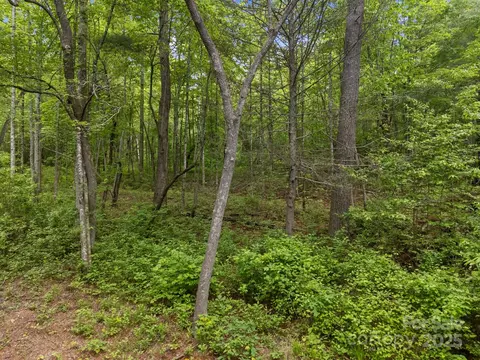 287 Red Fox Ln, Flat Rock, NC 28731 photo 15
