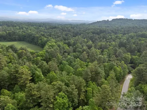 287 Red Fox Ln, Flat Rock, NC 28731 photo 10