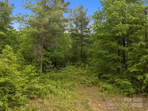 287 Red Fox Ln, Flat Rock, NC 28731 photo 13